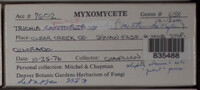Image Associated With the Occurence